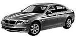 BMW F10 DF117 Fault Code